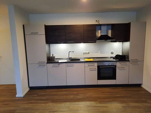 Wohnung zur Miete 620 € 1 Zimmer 59 m² frei ab 01.05.2026 Haselünne 49740