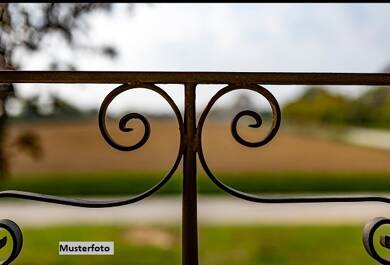 Einfamilienhaus zur Zwangsversteigerung 49.000 € 1 Zimmer 120 m² 161 m² Grundstück Volkmannsdorf 07924