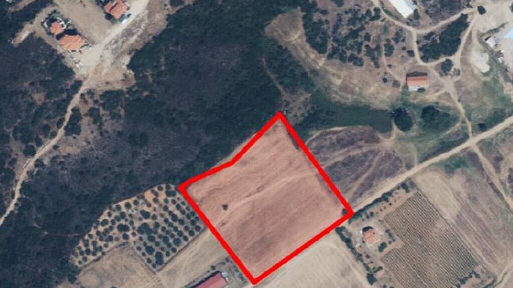 Land-/Forstwirtschaft zum Kauf 280.000 € 13.000 m² Grundstück Chalkidiki