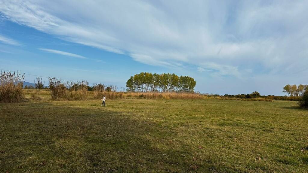 Land-/Forstwirtschaft zum Kauf 250.000 € 10.000 m² Grundstück Chalkidiki