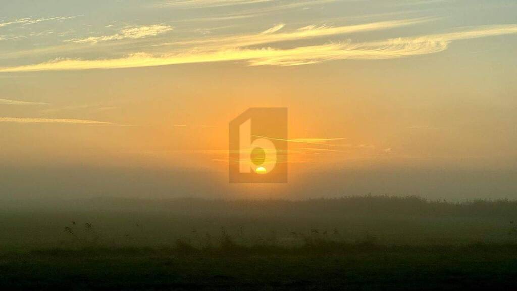 Grundstück zum Kauf 22.000 m² Grundstück Prerow 18375