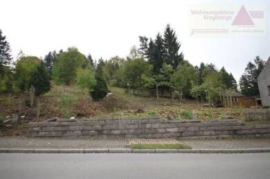 Grundstück zum Kauf 45.000 € 2.400 m² Grundstück Annaberger Str. Geyer 09468
