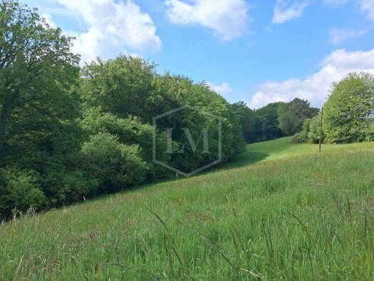 Grundstück zum Kauf 190.000 € 1.272 m² Grundstück Lohmar Lohmar 53797