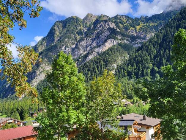Einfamilienhaus zum Kauf 1.035.000 € 6 Zimmer 116 m² 1.094 m² Grundstück Brand 6708