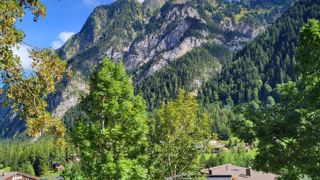 Einfamilienhaus zum Kauf 1.035.000 € 6 Zimmer 116 m² 1.094 m² Grundstück Brand 6708