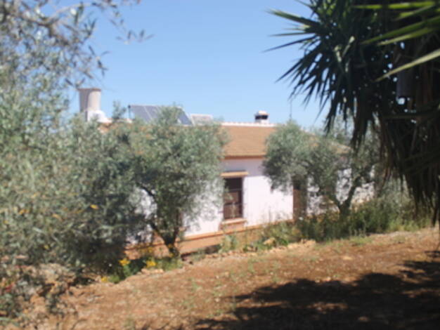 Bauernhaus zum Kauf 240.000 € 7 Zimmer 150 m² 12.000 m² Grundstück Paterna del Campo 21880