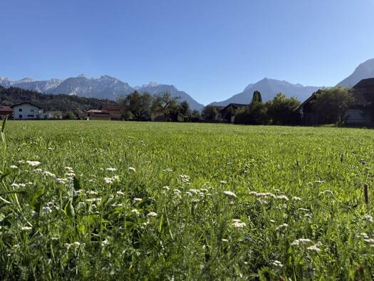Grundstück zum Kauf 550.000 € 500 m² Grundstück Kuchl 5431