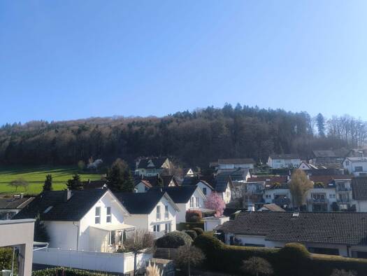 Wohnung zur Miete 705 € 3 Zimmer 75 m² 3. Geschoss frei ab sofort Reichenbach Lahr/Schwarzwald 77933