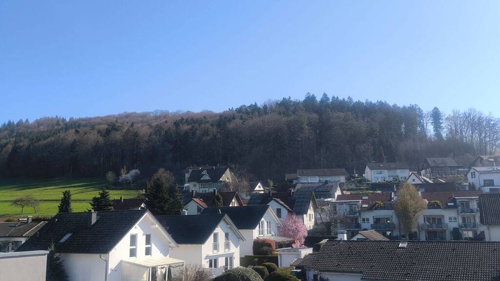 Wohnung zur Miete 705 € 3 Zimmer 75 m² 3. Geschoss frei ab sofort Reichenbach Lahr/Schwarzwald 77933