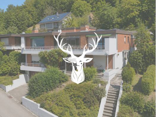 Doppelhaushälfte zum Kauf 599.000 € 8 Zimmer 220 m² 704 m² Grundstück Kadelburg Küssaberg 79790