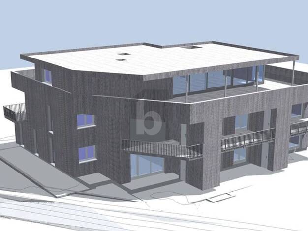 Wohnung zum Kauf 533.669 € 3 Zimmer 71 m² 1. Geschoss Dornbirn 6850
