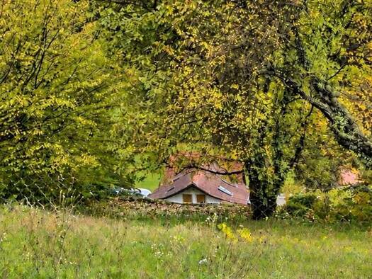 Grundstück zum Kauf 45.000 € 405 m² Grundstück Frankeneck 67468