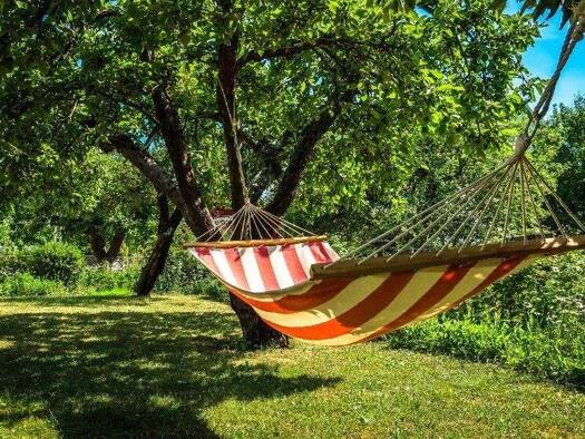 Grundstück zum Kauf 28.700 € 820 m² Grundstück Bernsgrün Zeulenroda-Triebes 07937