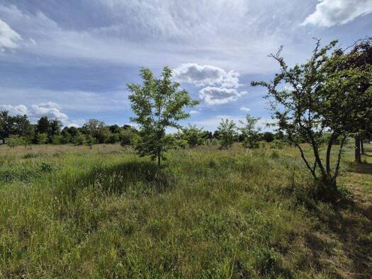 Grundstück zum Kauf - Erstbezug 123.736 € 2.464 m² Grundstück Görlsdorf Luckau 15926