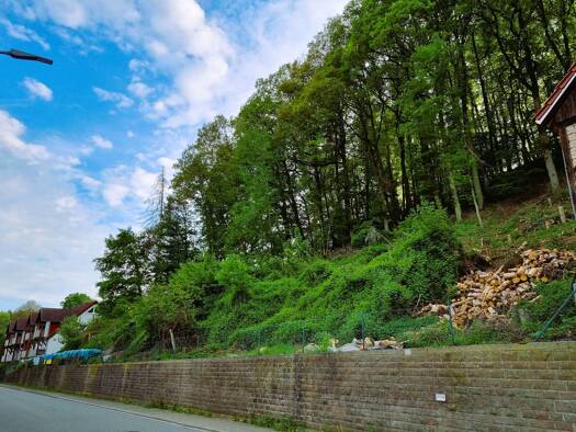 Grundstück zum Kauf 100.000 € 2.585 m² Grundstück Oberstaufenbach 66879