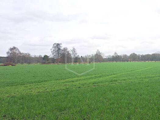 Landwirtschaftliche Fläche zum Kauf 445.000 € 33.946 m² Grundstück Steinhagen 33803