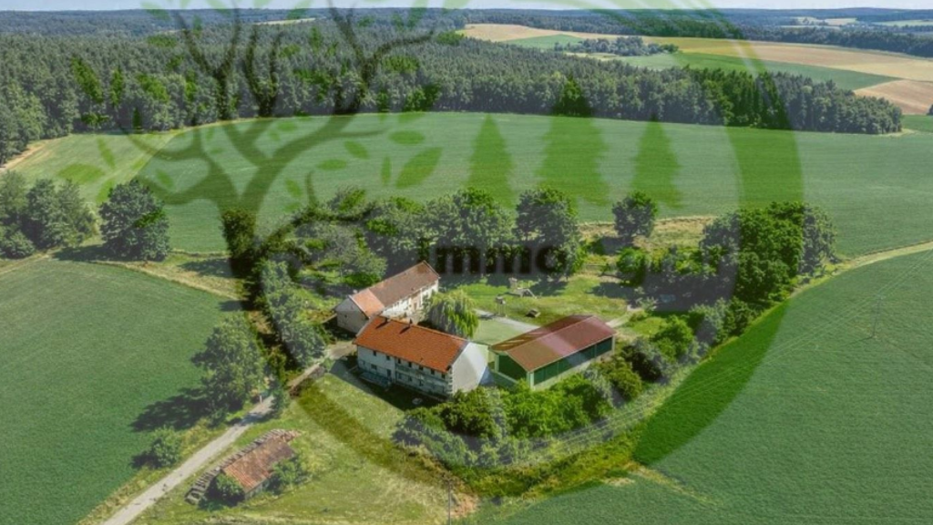 Bauernhaus zum Kauf 1.499.000 € 10 Zimmer 468 m² 14.841 m² Grundstück frei ab sofort Mammingerschwaigen Mamming 94437