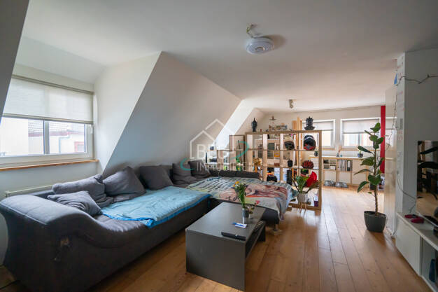 Wohnung zum Kauf 129.000 € 2 Zimmer 48,1 m² Neuenstein Neuenstein 74632