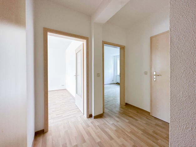 Wohnung zur Miete 352 € 3 Zimmer 65,5 m² EG Reinsdorfer Straße 26 Südvorstadt Plauen 08527