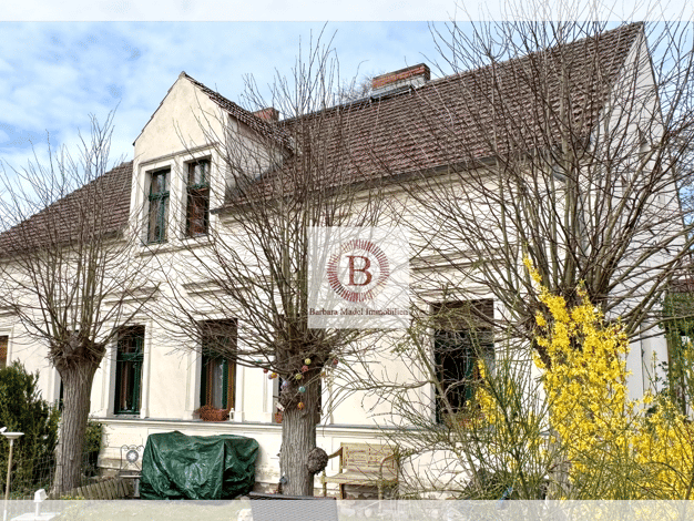 Mehrfamilienhaus zum Kauf 370.000 € 8 Zimmer 209 m² 874 m² Grundstück frei ab sofort Grüneberg Löwenberger Land 16775