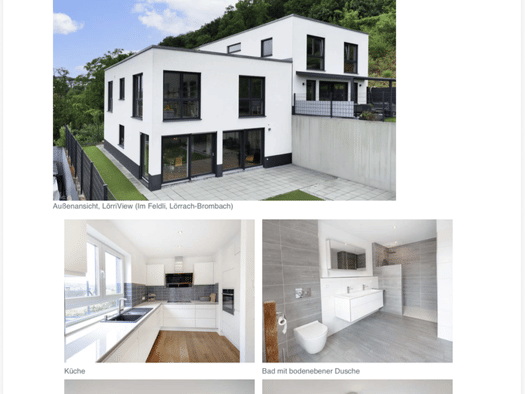 Terrassenwohnung zur Miete 1.756 € 1 Zimmer 103 m² Geschoss EG/1 frei ab sofort Brombach Lörrach 79541