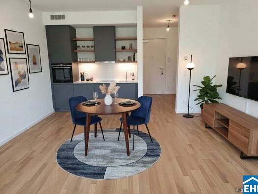 Wohnung zum Kauf 249.000 € 1 Zimmer 32,2 m² 1. Geschoss Franz Josef-Straße Maria Enzersdorf 2344