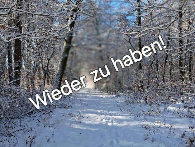 Mehrfamilienhaus zum Kauf provisionsfrei 659.000 € 11 Zimmer 250 m² 2.300 m² Grundstück Emmerting 84547