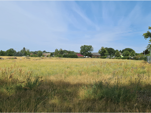 Bungalow zum Kauf provisionsfrei 273.900 € 92 m² 763 m² Grundstück frei ab sofort Schönwald 15910