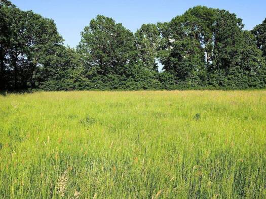 Grundstück zum Kauf 145.000 € 880 m² Grundstück frei ab sofort Pöllersdorf Goldkronach 95497