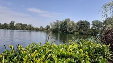 Grundstück zum Kauf 10.000 m² Grundstück Siemersdorf Tribsees 18465
