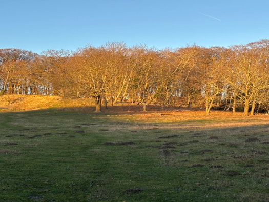 Grundstück zum Kauf 199.000 € 32.000 m² Grundstück frei ab sofort Göhren 18586