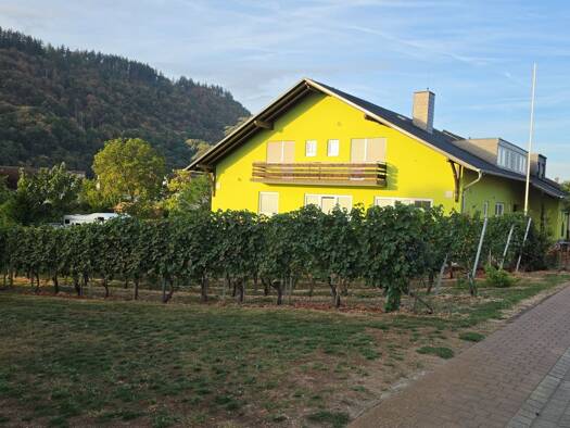 Doppelhaushälfte zum Kauf provisionsfrei 549.000 € 12 Zimmer 375 m² 1.070 m² Grundstück Mehring Mehring 54346