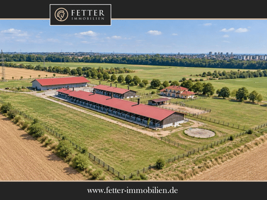 Haus zum Kauf 2.450.000 € 12 Zimmer 260 m² 71.255 m² Grundstück Delkenheim Wiesbaden 65205