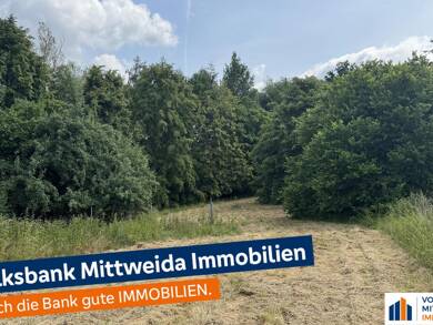 Grundstück zum Kauf 59.000 € 5.260 m² Grundstück Naundorf Striegistal 09661