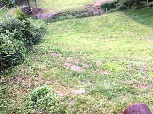 Grundstück zum Kauf 49.950 € 494 m² Grundstück Evingsen Altena 58762