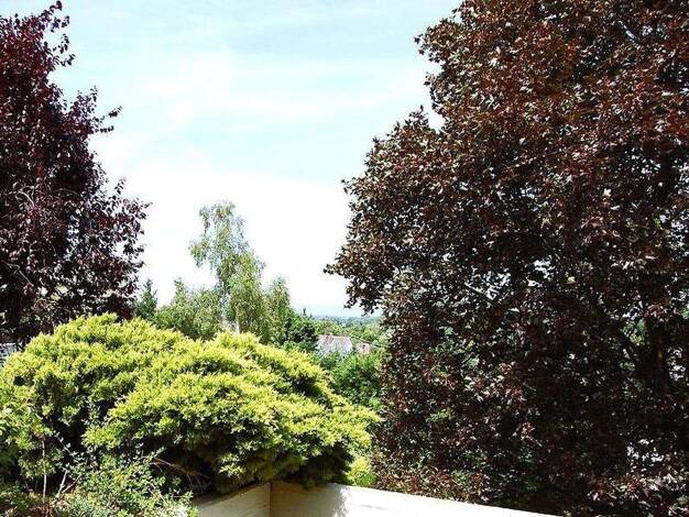 Terrassenwohnung zum Kauf provisionsfrei 449.000 € 2,5 Zimmer 118 m² 1. Geschoss Dreieichenhain Dreieich 63303