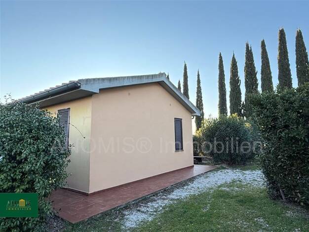 Grundstück zum Kauf 185.000 € 5.000 m² Grundstück Strada Pietro dei Cipressi Massa Marittima 58024