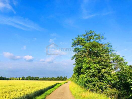 Land-/Forstwirtschaft zum Kauf 223.000 € 18.638 m² Grundstück Zurndorf 2424