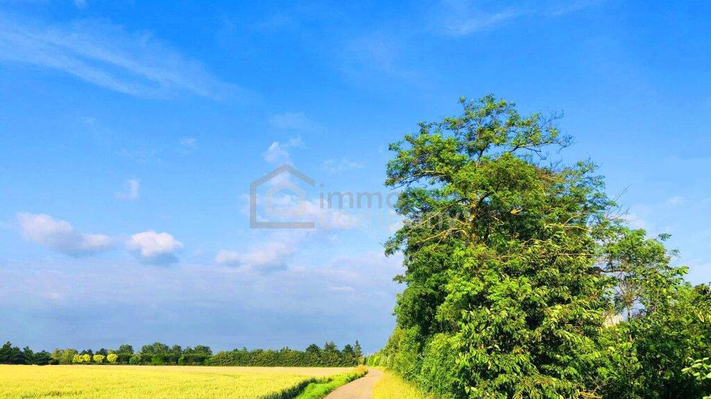 Land-/Forstwirtschaft zum Kauf 223.000 € 18.638 m² Grundstück Zurndorf 2424