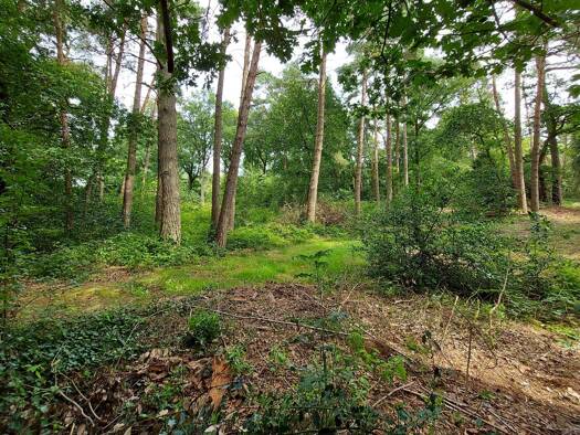 Grundstück zum Kauf 165.000 € 1.520 m² Grundstück Neu Sankt Jürgen Worpswede / Neu Sankt Jürgen 27726