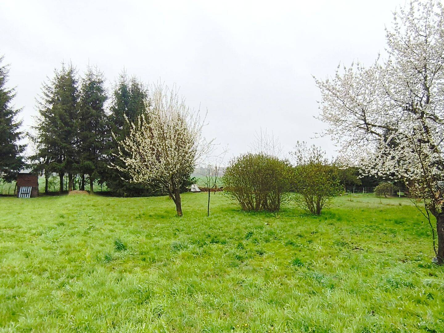 Einfamilienhaus zum Kauf - Ansicht 6