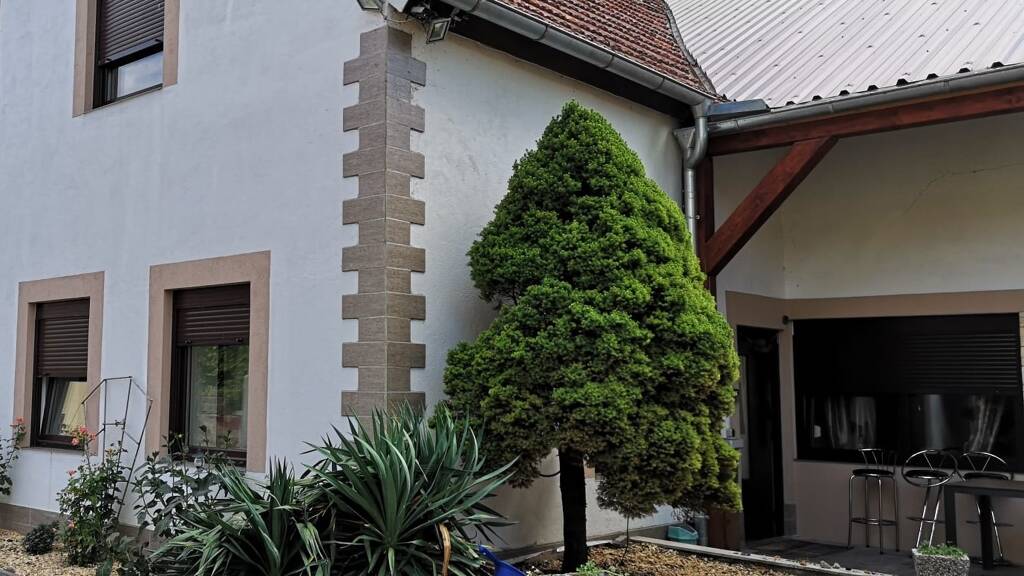 Gastronomie/Hotel zum Kauf 490.000 € 350 m² Gastrofläche 510 m² Grundstück Dingolshausen 97497