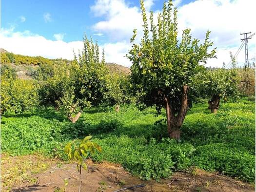 Acker-/Waldstück zum Kauf 21.600 € Viñuela 29700