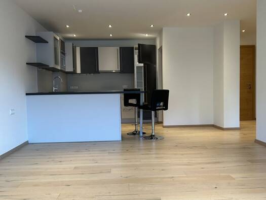 Wohnung zur Miete - Erstbezug 1.144 € 1 Zimmer 68 m² 1. Geschoss Scheffau am Wilden Kaiser 6351