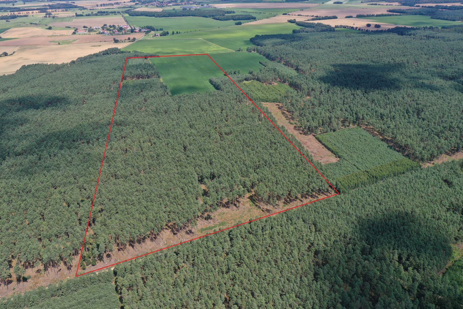 Landwirtschaftliche Fläche zum Kauf 550.000 € 367.000 m²<br/>Fläche Rohrberg Rohrberg 38489