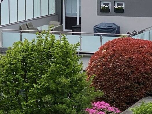 Terrassenwohnung zur Miete 790 € 2 Zimmer 65 m² Geschoss 1/2 frei ab 01.12.2026 Wald Solingen 42719