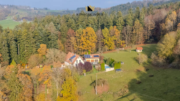 Einfamilienhaus zum Kauf provisionsfrei 2.375.000 € 12 Zimmer 234 m² 48.100 m² Grundstück Brechtenhalden Gschwend 74417