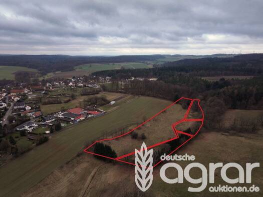 Land-/Forstwirtschaft zum Kauf 19.900 € 19.404 m² Grundstück Mengsberg Neustadt 35279