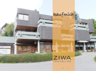 Wohnung zum Kauf 125.000 € 3 Zimmer 75 m² Todtnauberg Todtnauberg 79674