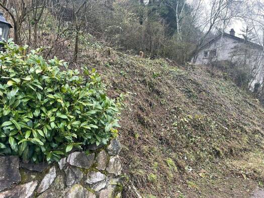 Grundstück zum Kauf 19.500 € 801 m² Grundstück Schönecken 54614